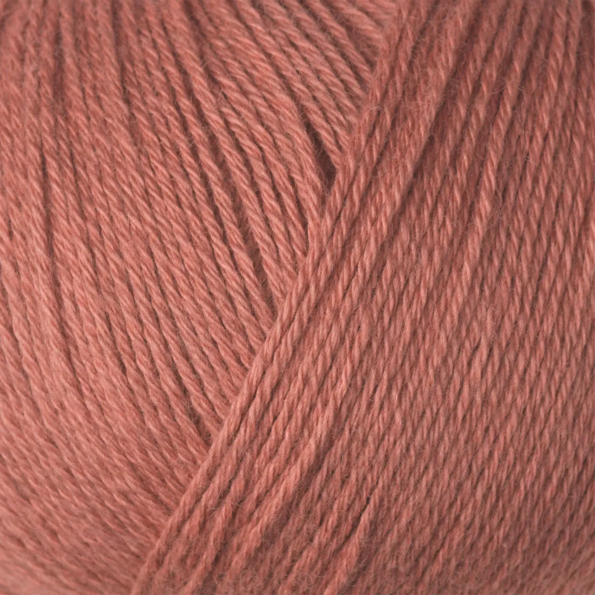 Cotton Merino Terracotta rosa Knitting for Olive